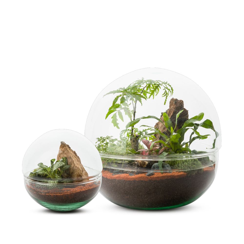 Objets de décoration - COLLECTION TERRARIUM - NATURALYS