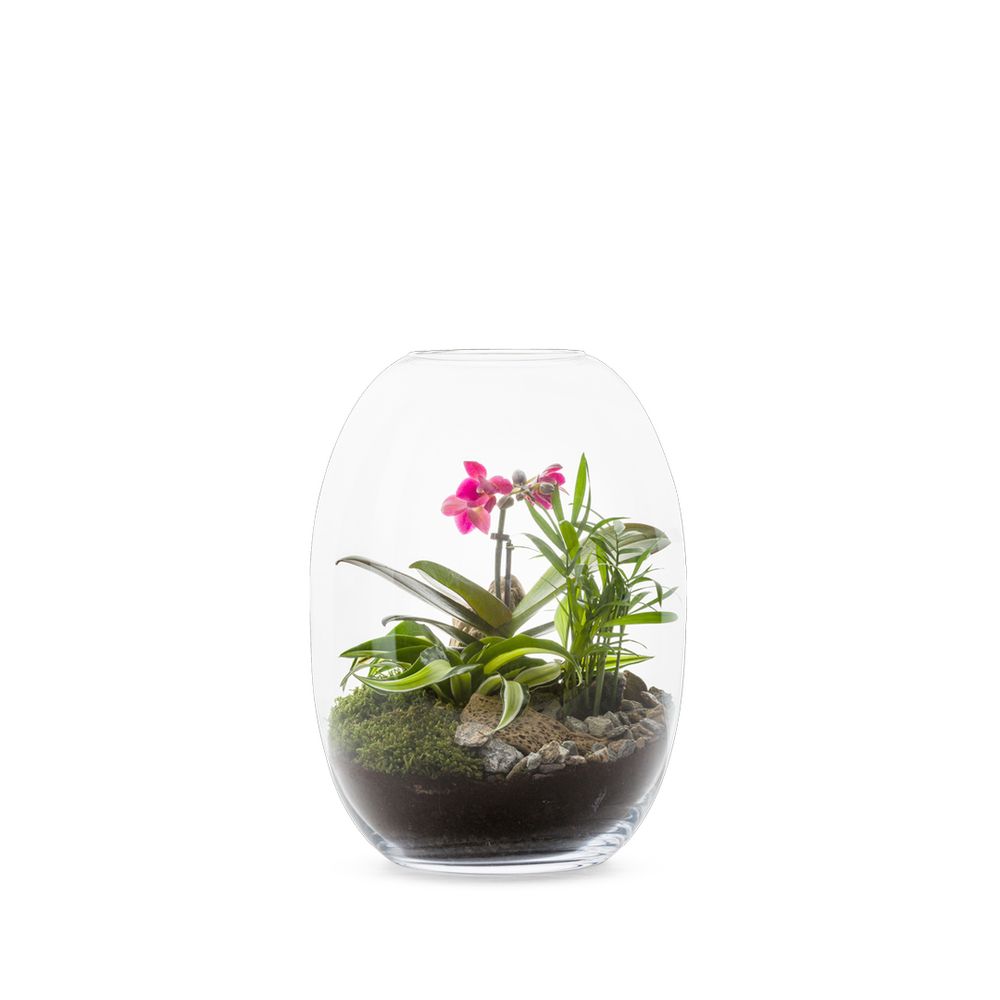 Objets de décoration - COLLECTION TERRARIUM - NATURALYS