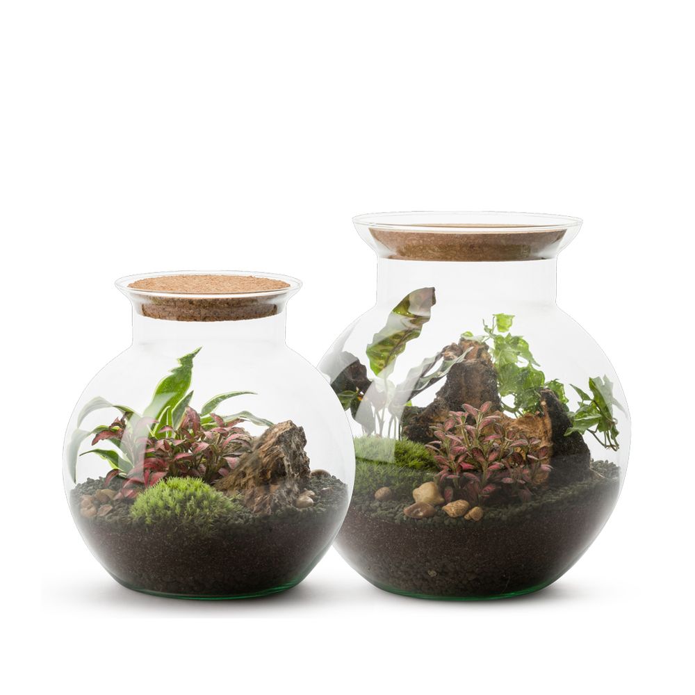 Objets de décoration - COLLECTION TERRARIUM - NATURALYS