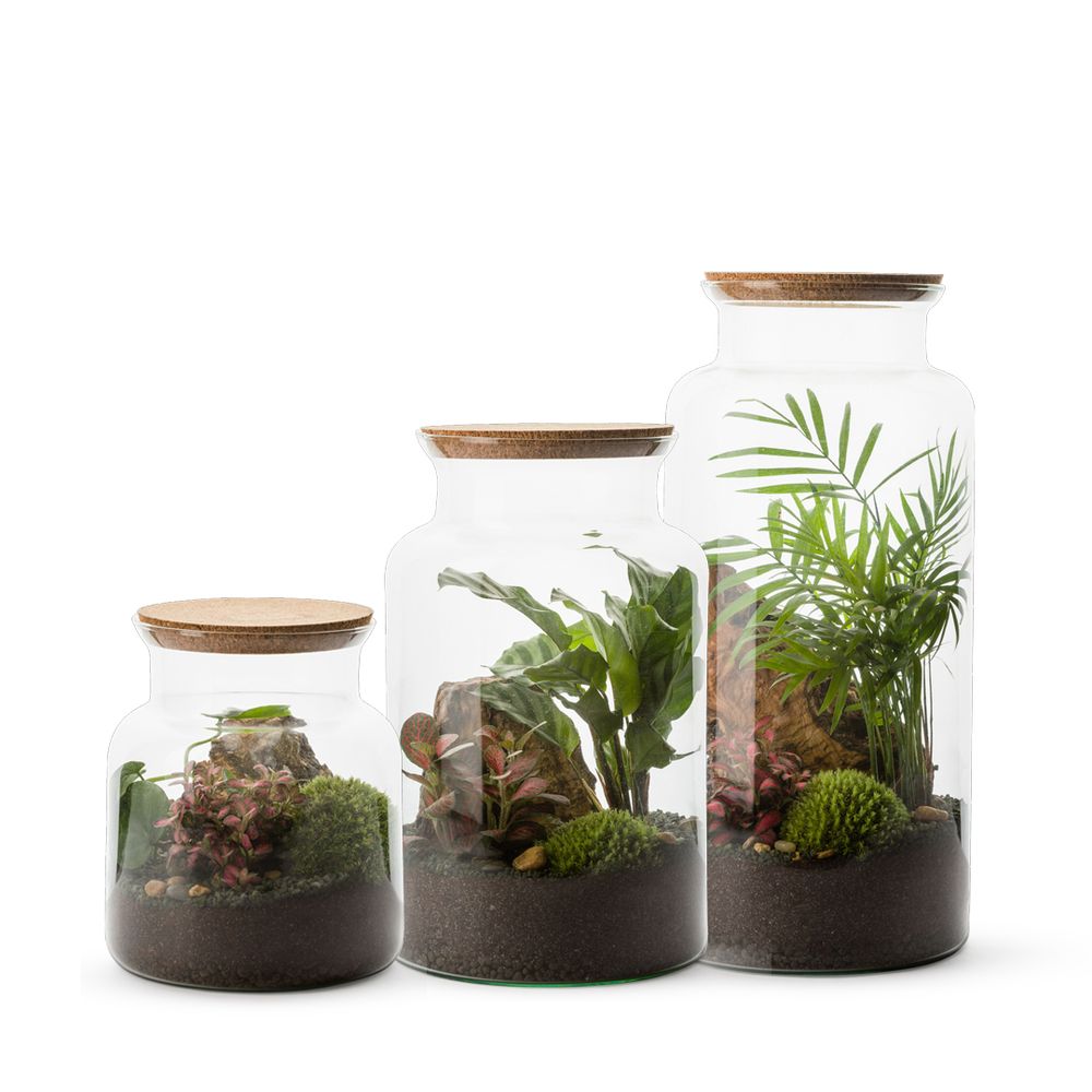 Objets de décoration - COLLECTION TERRARIUM - NATURALYS