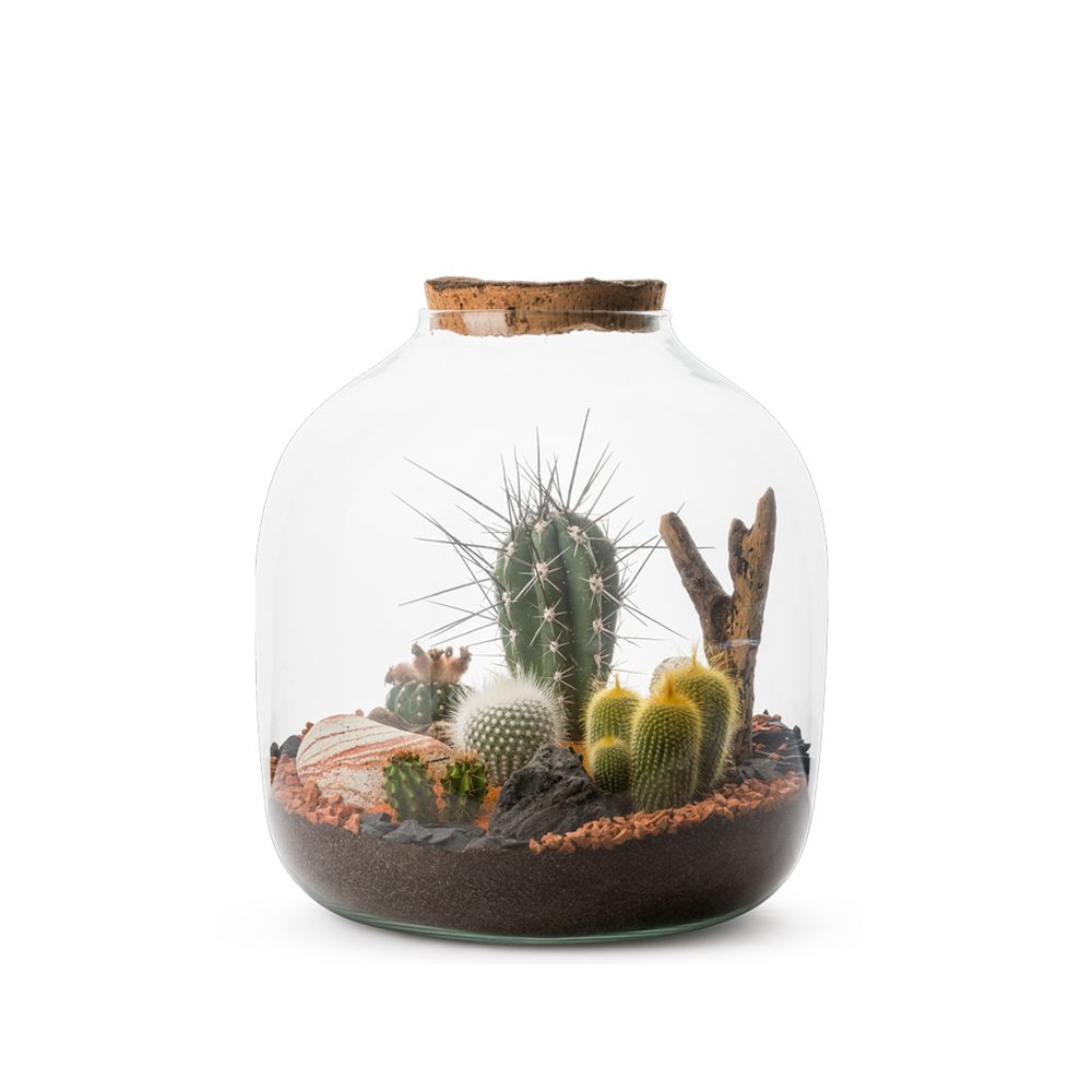 Objets de décoration - COLLECTION TERRARIUM - NATURALYS