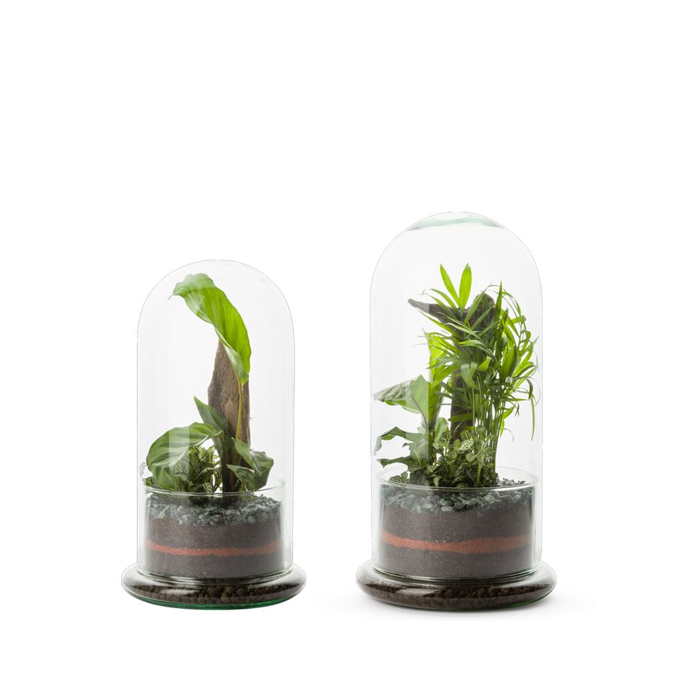 Objets de décoration - COLLECTION TERRARIUM - NATURALYS