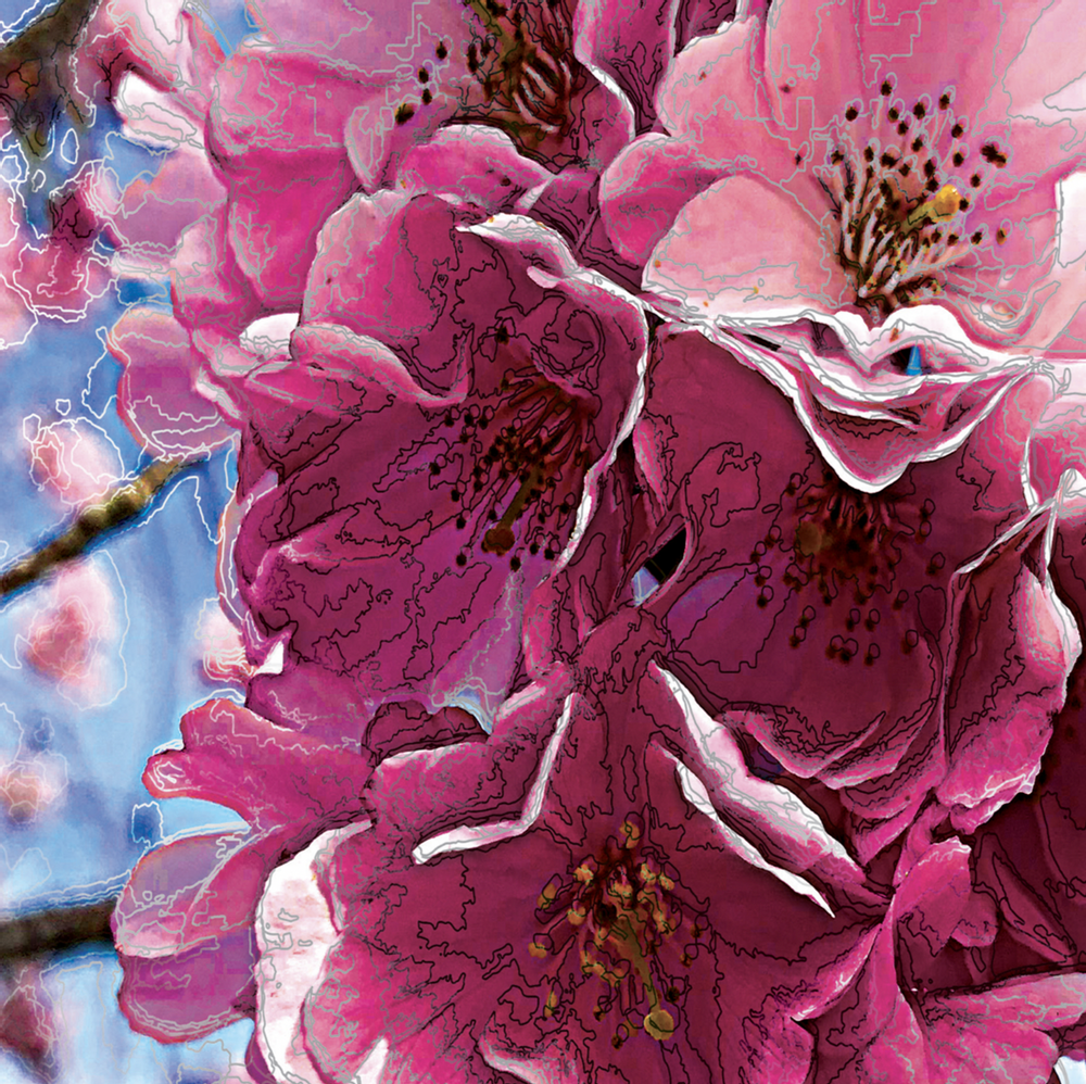 Affiches - Objet décoration : Illustration Fleurs - SI.D