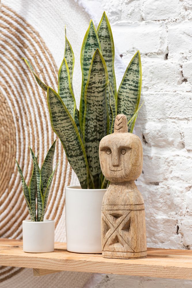 Objets de décoration - Palma Life - J-LINE BY JOLIPA