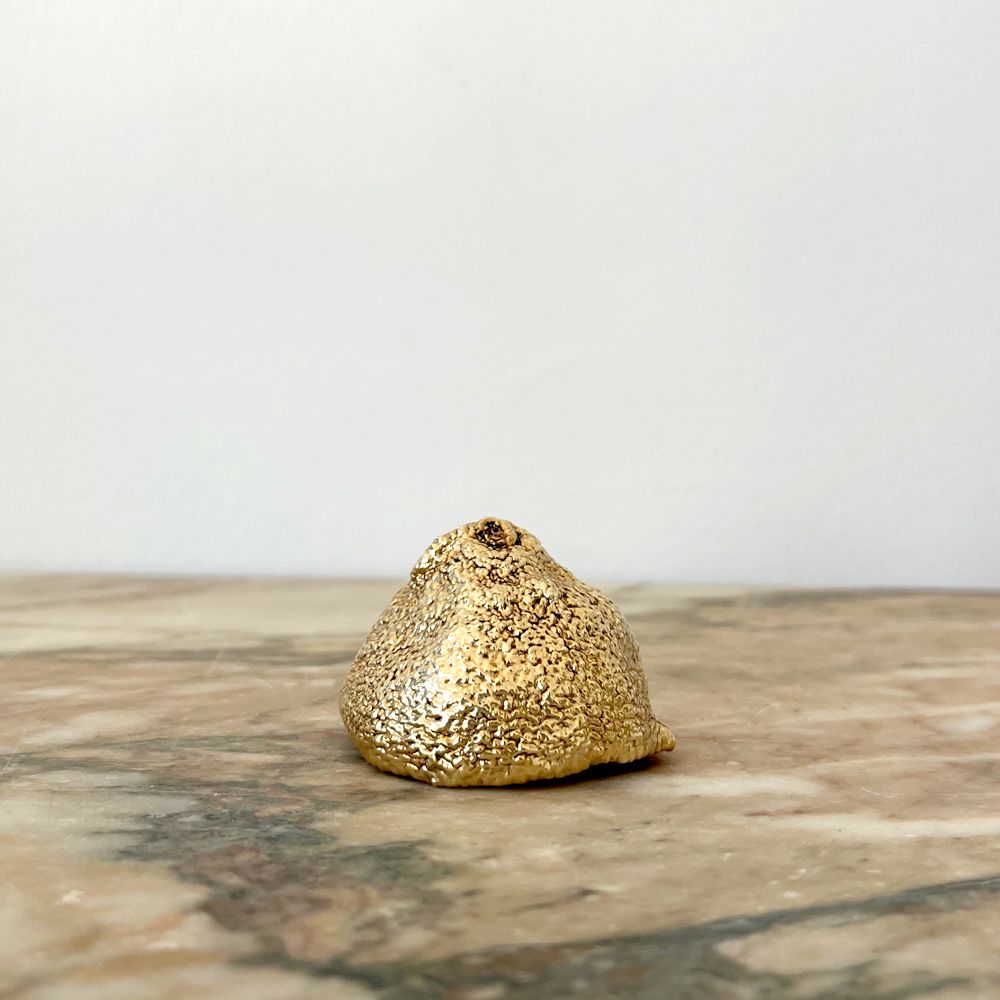 Decorative objects - Citrus bowl - CASA REMEDIOS CHEZ VIS-A-VIS PARIS