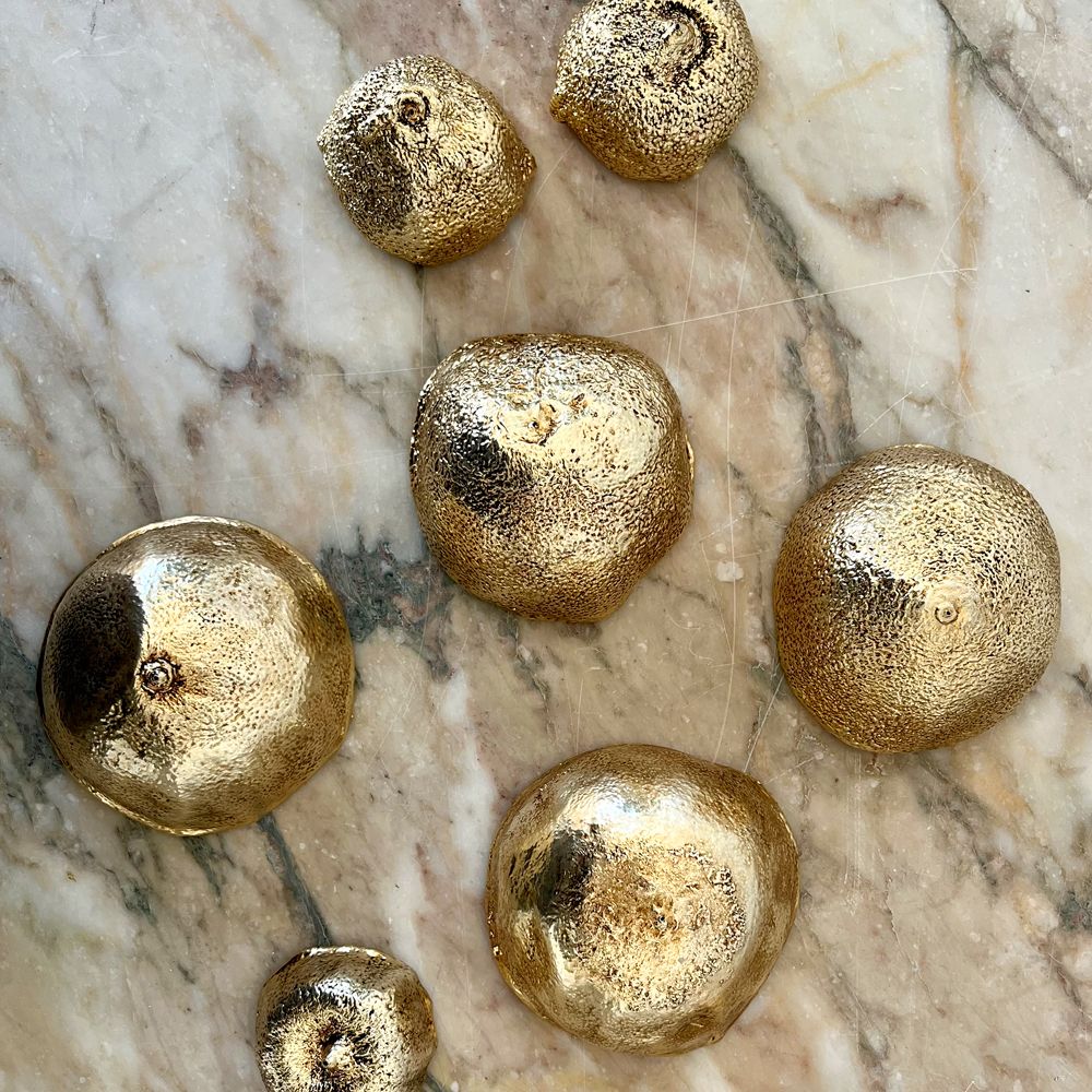 Decorative objects - Citrus bowl - CASA REMEDIOS CHEZ VIS-A-VIS PARIS