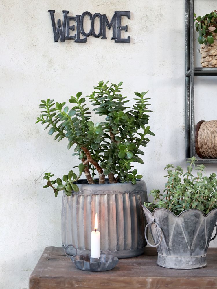 Decorative objects - Zinc - romantic, but rustic - CHIC ANTIQUE A/S