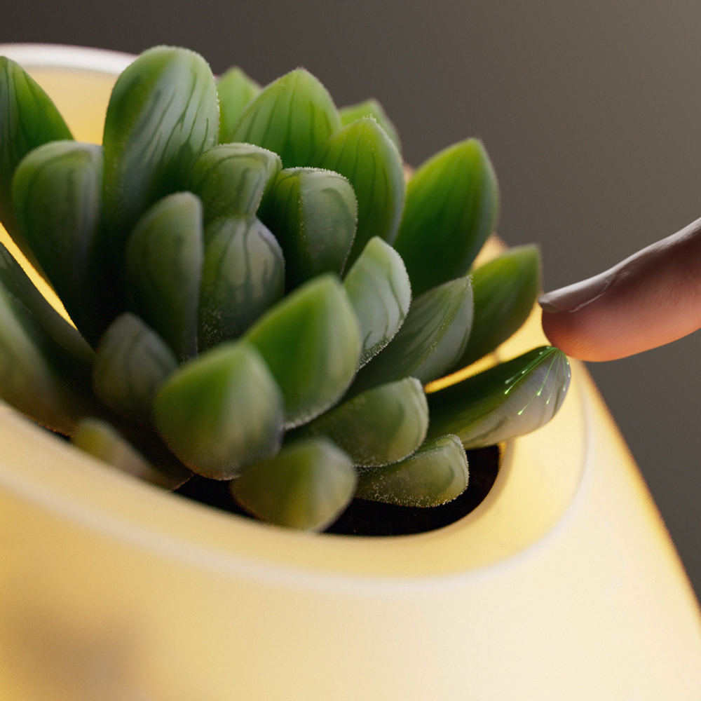 Other smart objects - Bioo Lux - BIOO