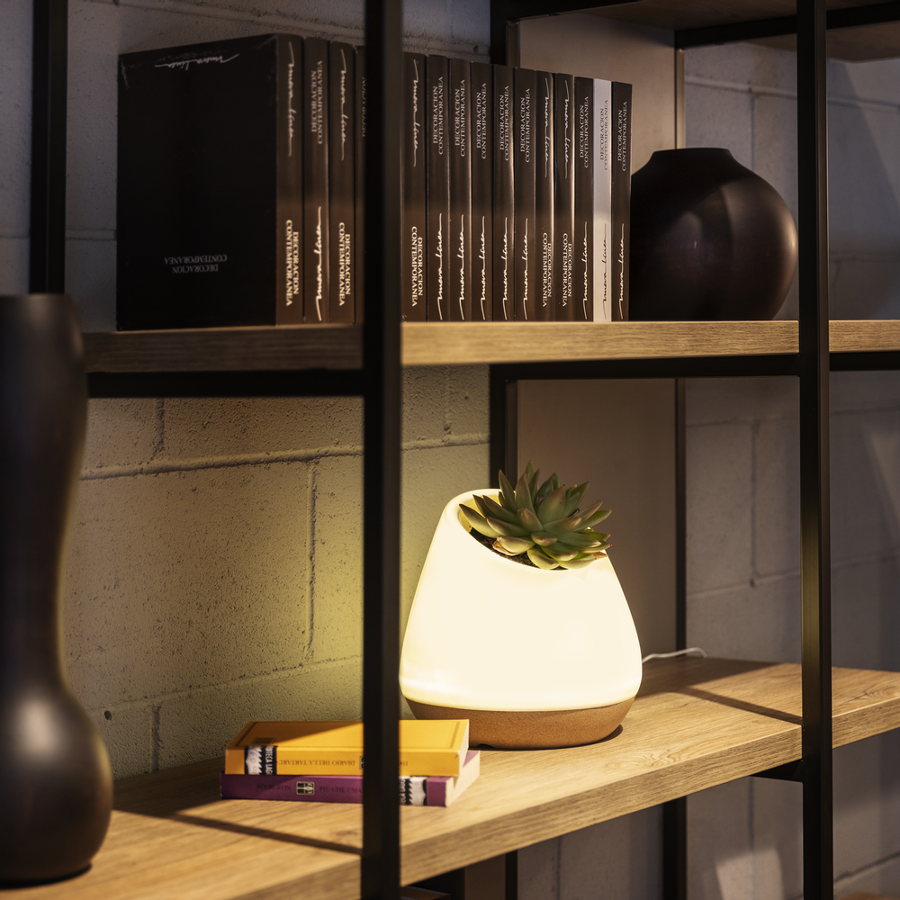 Other smart objects - Bioo Lux - BIOO