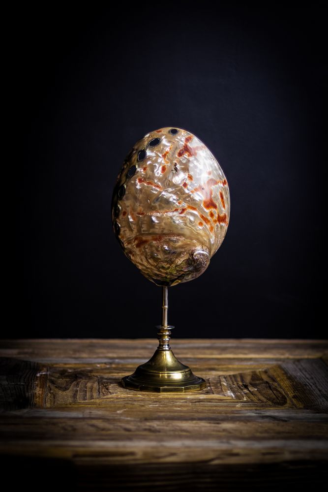 Objets de décoration - corail et coquillage - DECO-NATURE