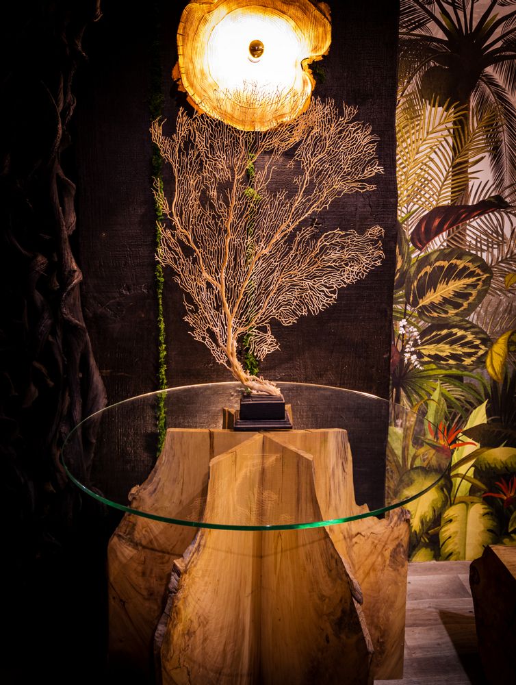 Conference tables - Driftwood bench and stool - DECO-NATURE