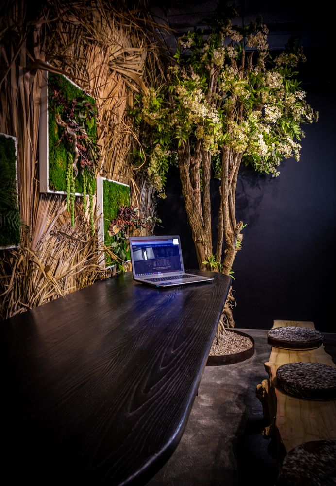 Conference tables - Driftwood bench and stool - DECO-NATURE