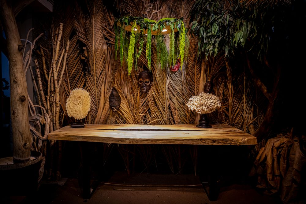 Conference tables - Driftwood bench and stool - DECO-NATURE