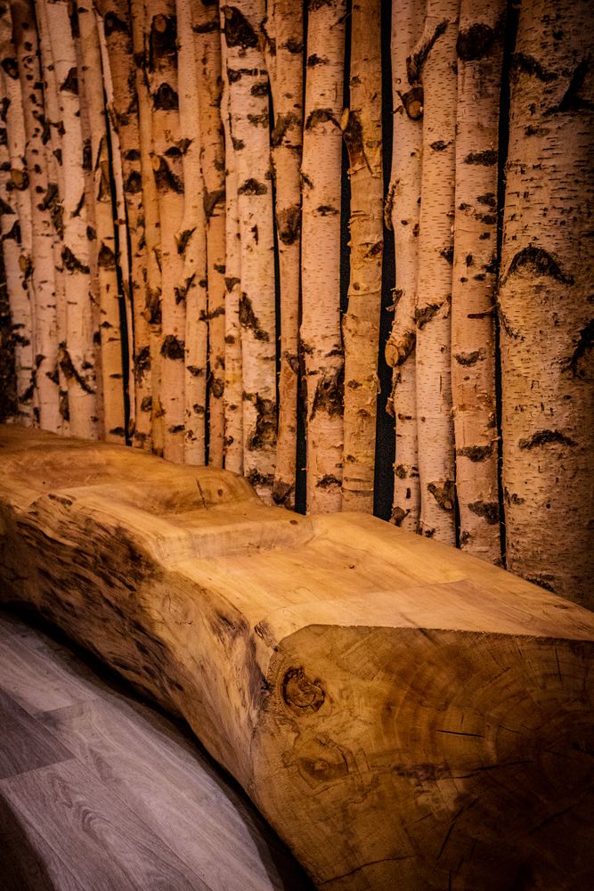 Conference tables - Driftwood bench and stool - DECO-NATURE