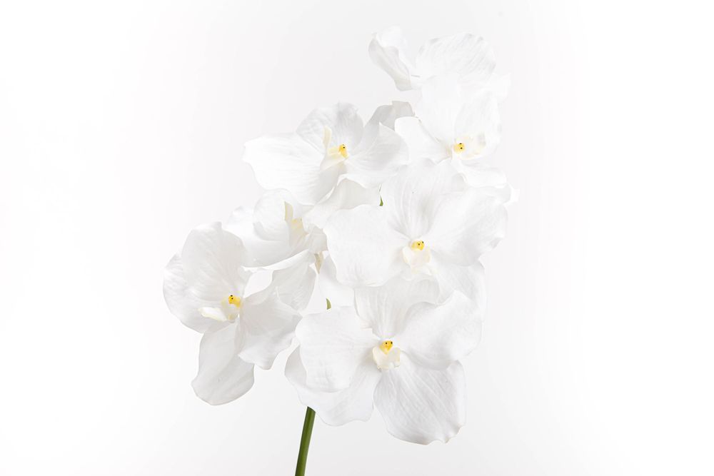 Floral decoration - VANDA ROTHSCHILDIANA H60 - LOU DE CASTELLANE - artificial plants and flowers - LOU DE CASTELLANE