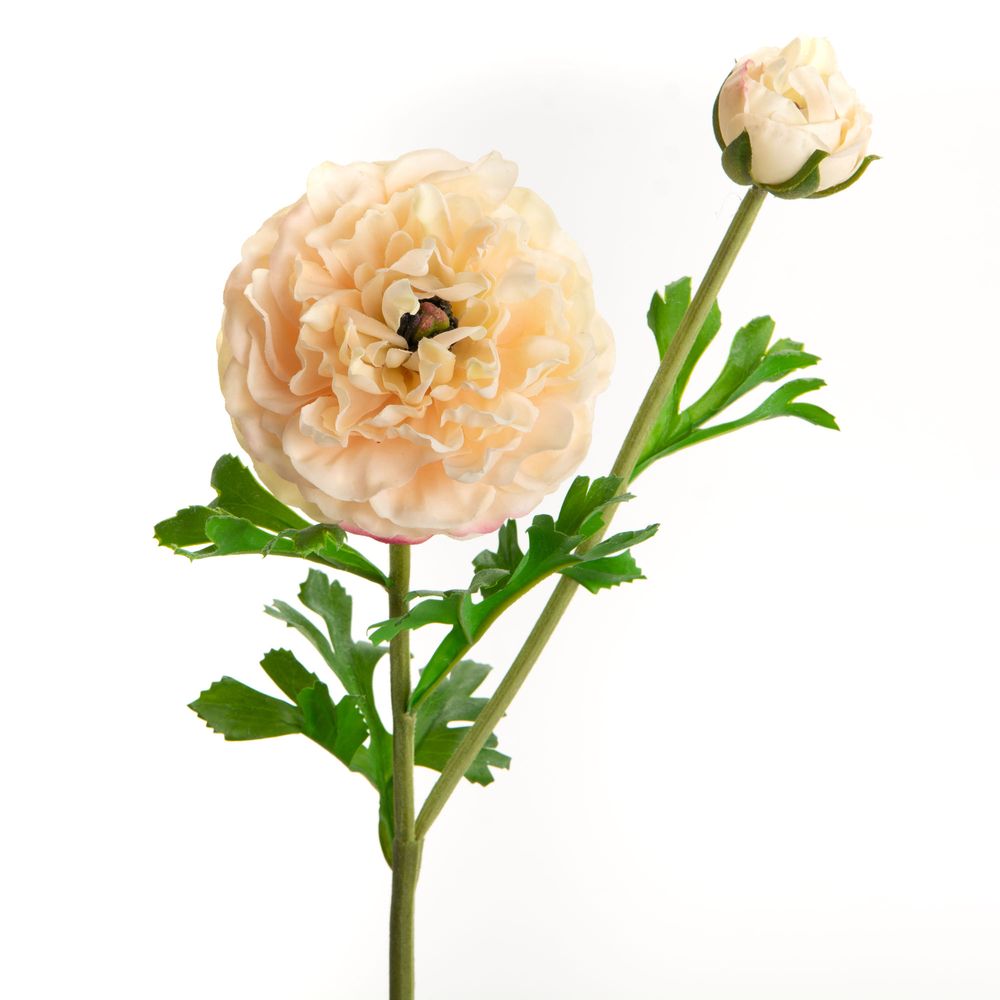 Floral decoration - RENONCULE REALITY H57 CR - LOU DE CASTELLANE - plantes et fleurs artificielles - LOU DE CASTELLANE
