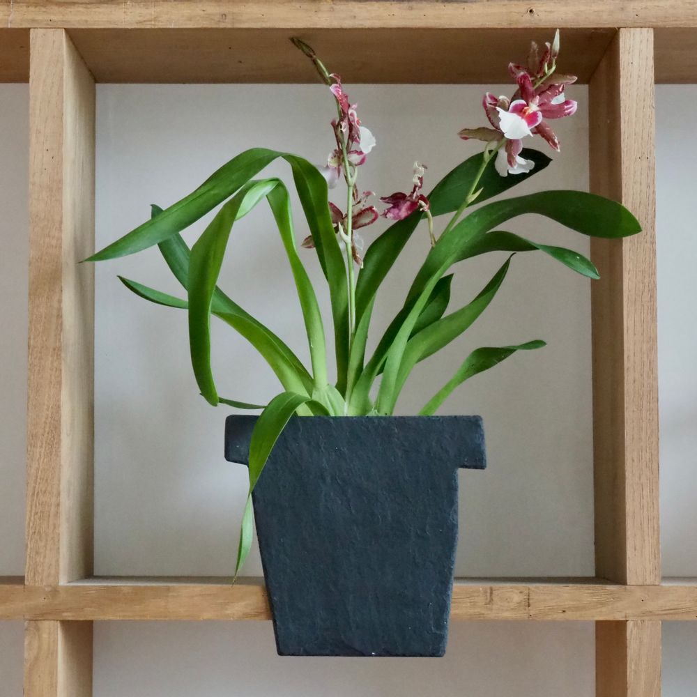 Window boxes - Natural slate planters to stand on - LE TRÈFLE BLEU