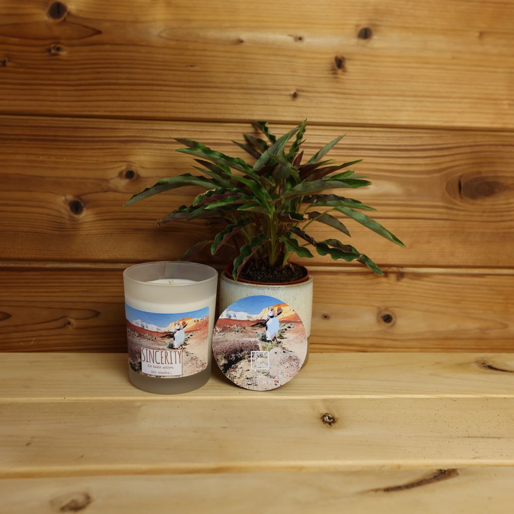 Candles - PARADOXE scented candles - GRAPHIC HOME EDITIONS