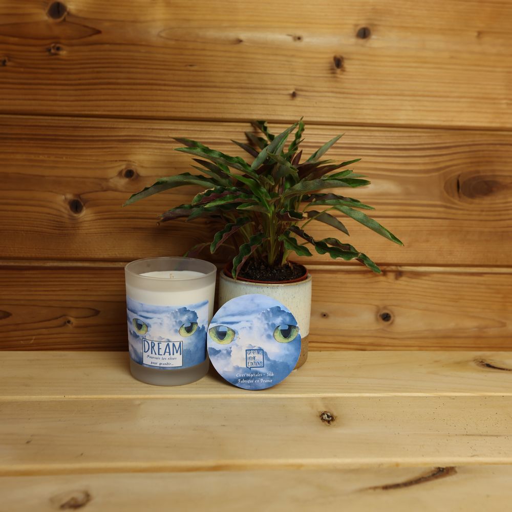 Candles - PARADOXE scented candles - GRAPHIC HOME EDITIONS