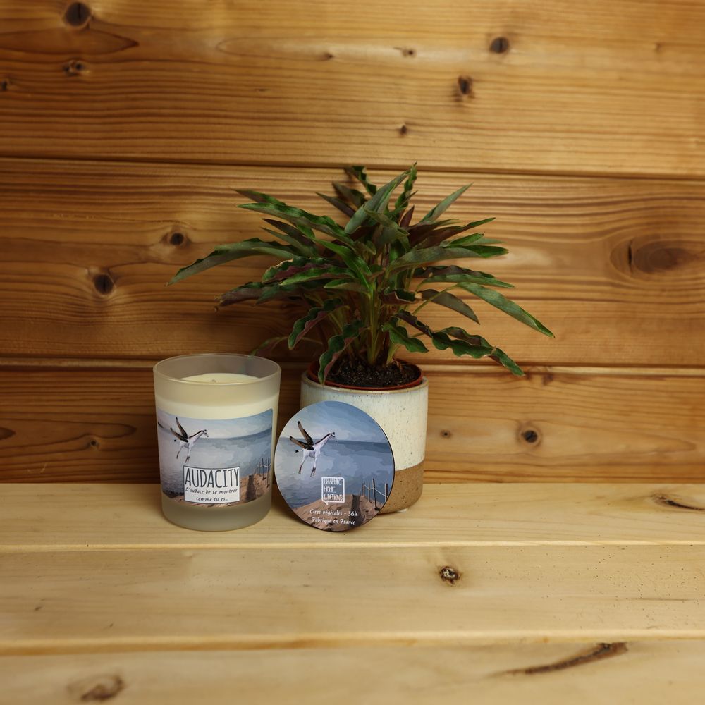 Candles - PARADOXE scented candles - GRAPHIC HOME EDITIONS