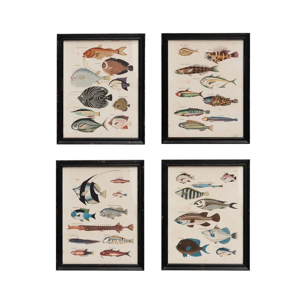 Tableaux - S/4 cadres poissons multicolores Louis Renard - CHEHOMA