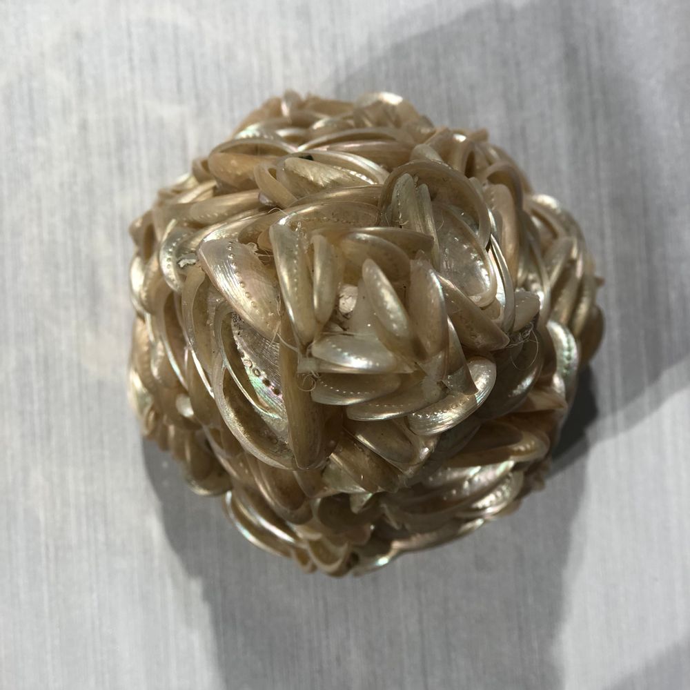 Autres décorations de Noël - Décor de Noël en forme de coquille d'ormeau brun (petit) - THOMAS & GEORGE FURNITURE, LIGHTING & DECOR