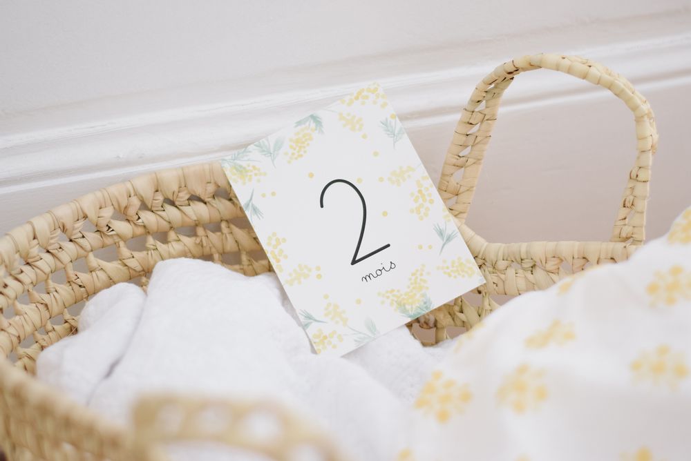 Childcare accessories - “My first year month by month” Baby Cards - PRUNE & SIBYLLE