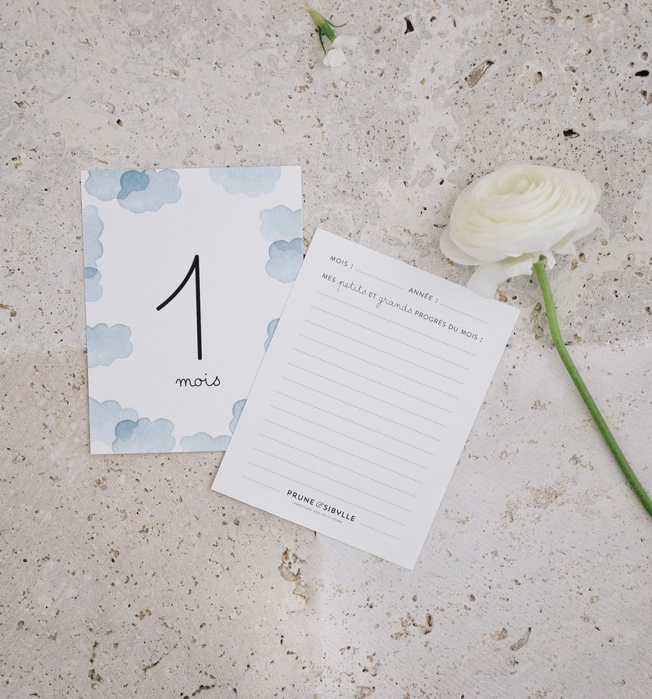 Childcare accessories - “My first year month by month” Baby Cards - PRUNE & SIBYLLE