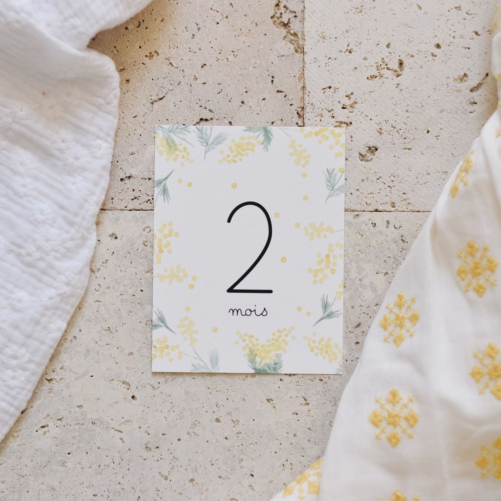 Childcare accessories - “My first year month by month” Baby Cards - PRUNE & SIBYLLE