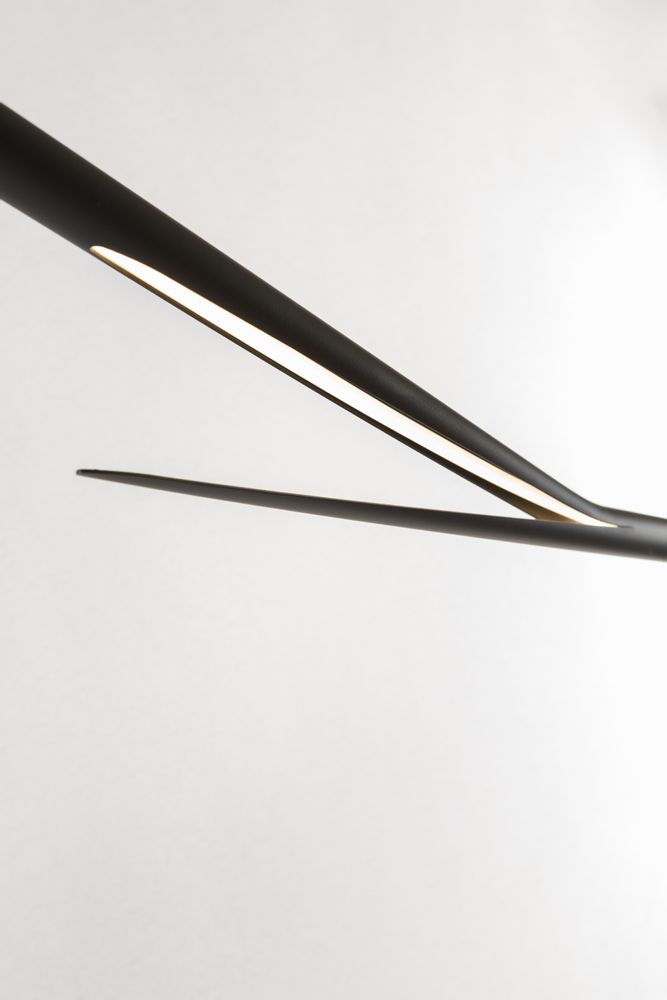 Hanging lights - Yvan Caillaud - Premisse - light suspension - YVAN CAILLAUD
