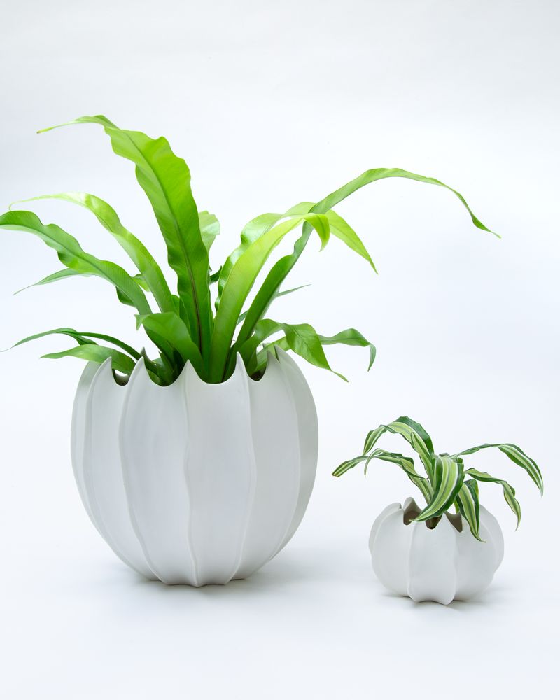 Vases - AVA white vase biscuit porcelain H=20cm, D=21cm - YLVAYA DESIGN