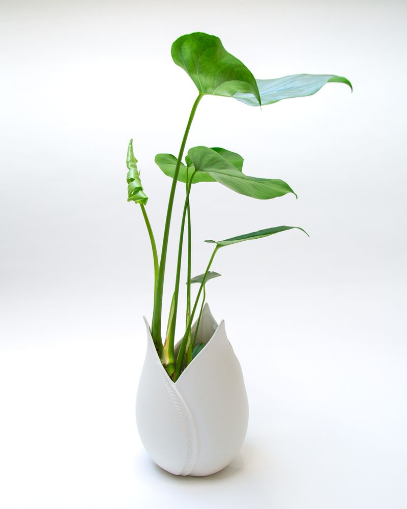 Objets de décoration - Vase TULIPYA ,en biscuit de porcelaine, H29 - YLVAYA DESIGN