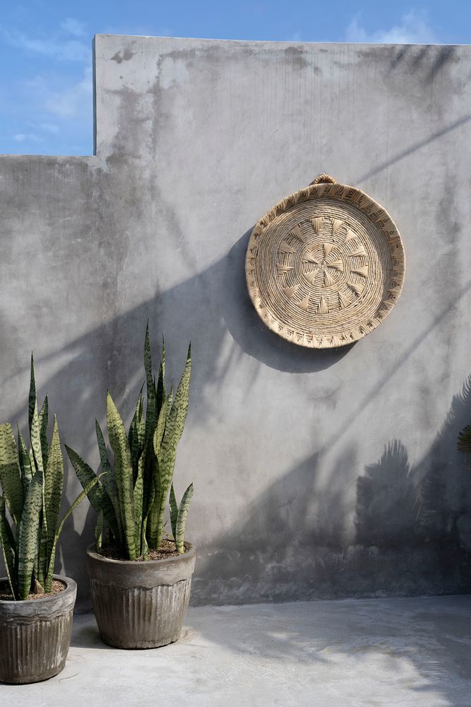 Other wall decoration - The Xolo Wall Deco - Natural - L - BAZAR BIZAR LIVING