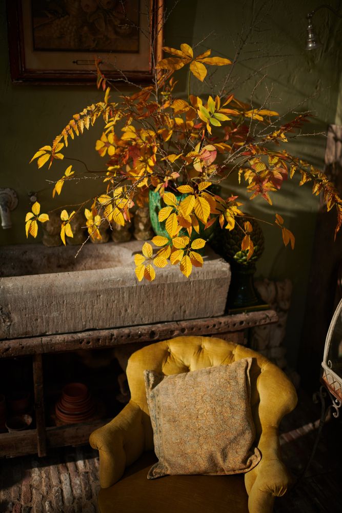 Floral decoration - AW23 - Beginning of the season - Leaves - Silk-ka Artificial flowers and plants for life! - SILK-KA