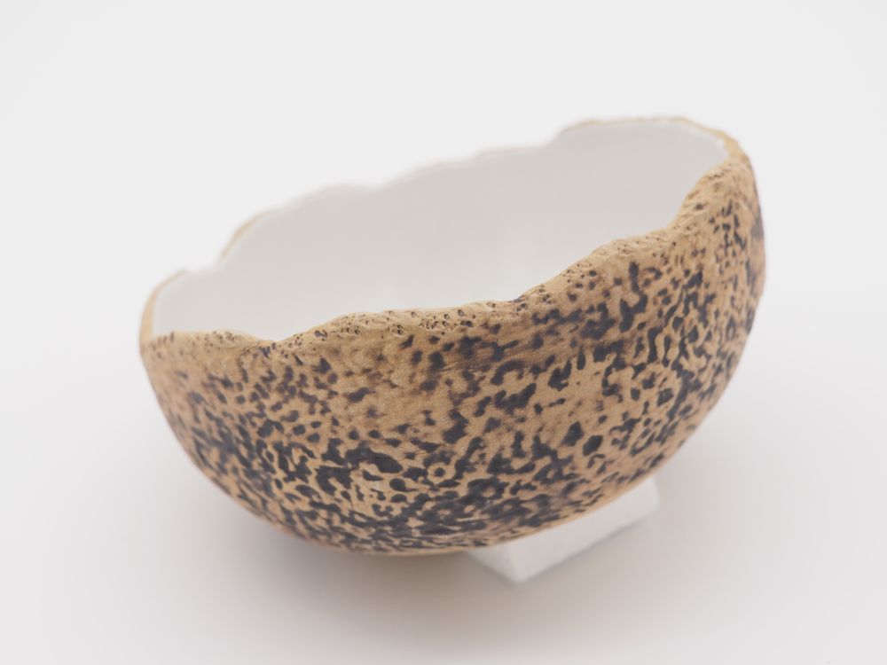 Bowls - CORAIL ceramic hollow bowl - JOE SAYEGH PARIS