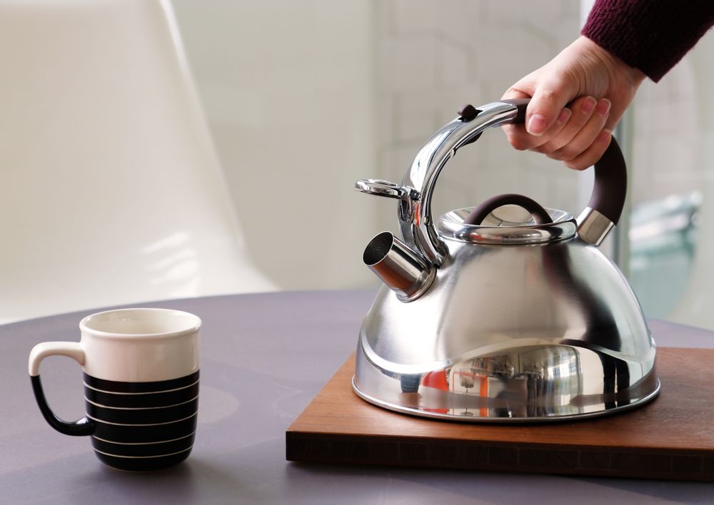 Tea and coffee accessories - KETTLE - GNALI & ZANI SAS