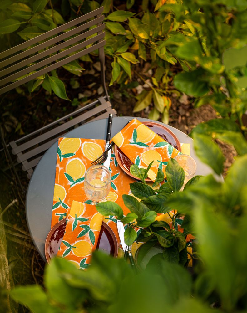 Serviettes - Serviette CITRUS orange - FRANÇOISE PAVIOT