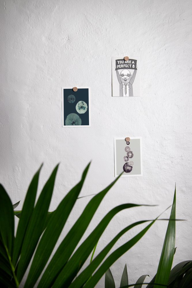 Other office supplies - EKTA Living - Office - EKTA LIVING