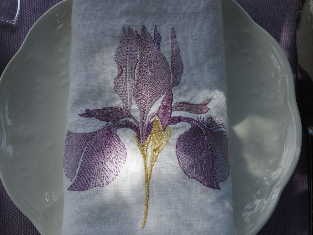 Table linen - IRIS anti-stain linen placemat  - ARTIPARIS