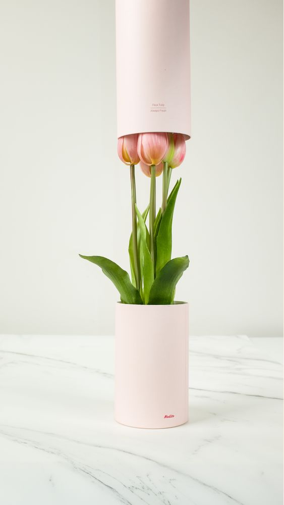 Scents - Tulip Ever After - NODITO