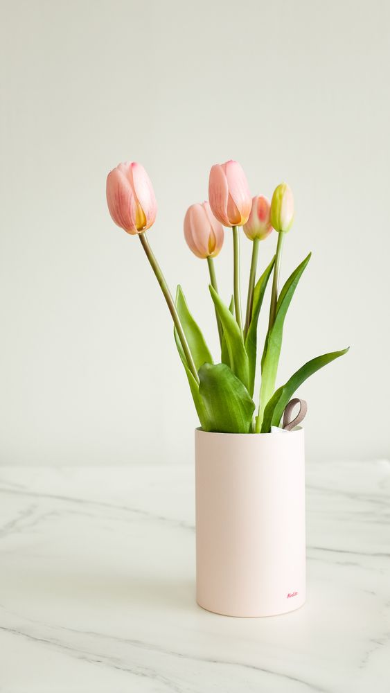 Scents - Tulip Ever After - NODITO