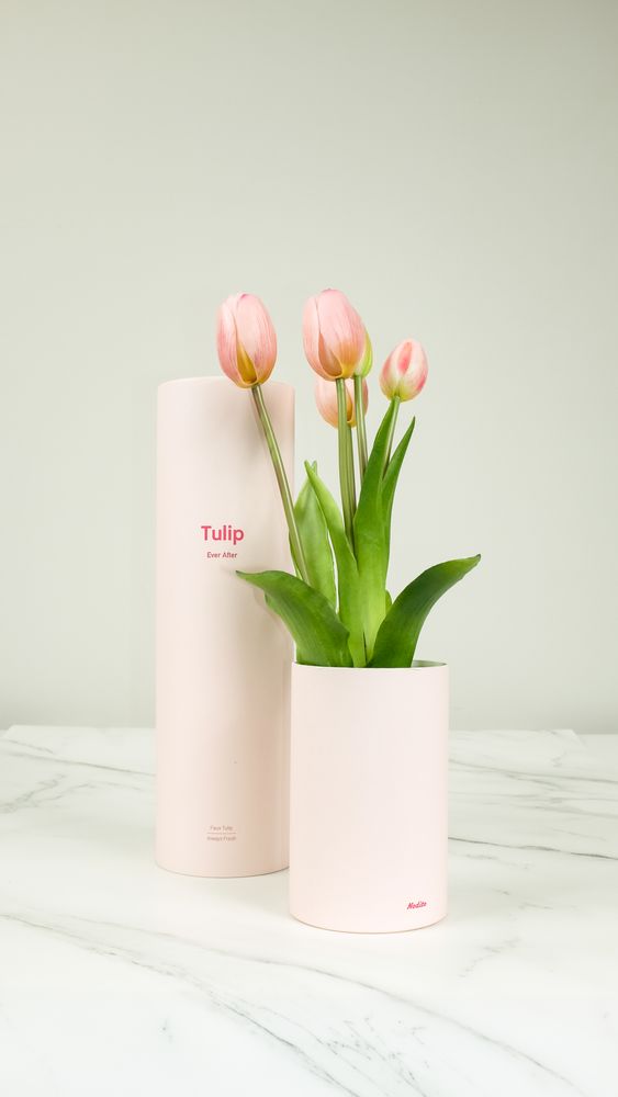 Scents - Tulip Ever After - NODITO