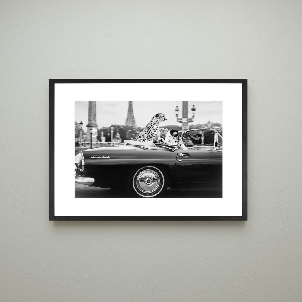 Art photos - Wall decoration. In Paris - ABLO BLOMMAERT