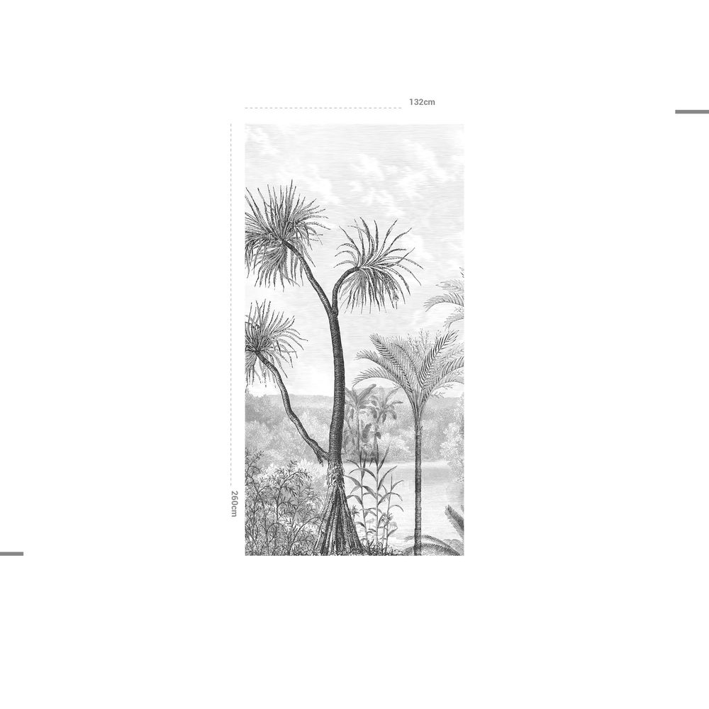 Affiches - Jungle Vintage - APDECORATION