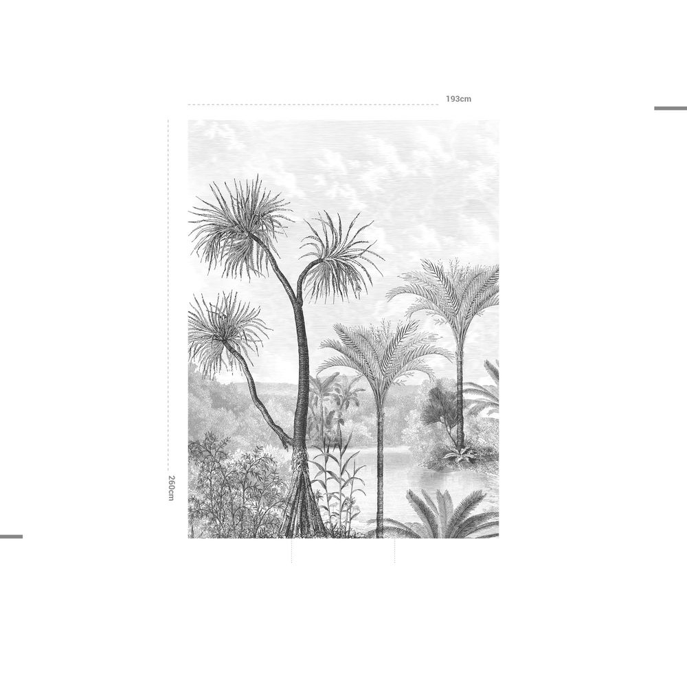 Affiches - Jungle Vintage - APDECORATION