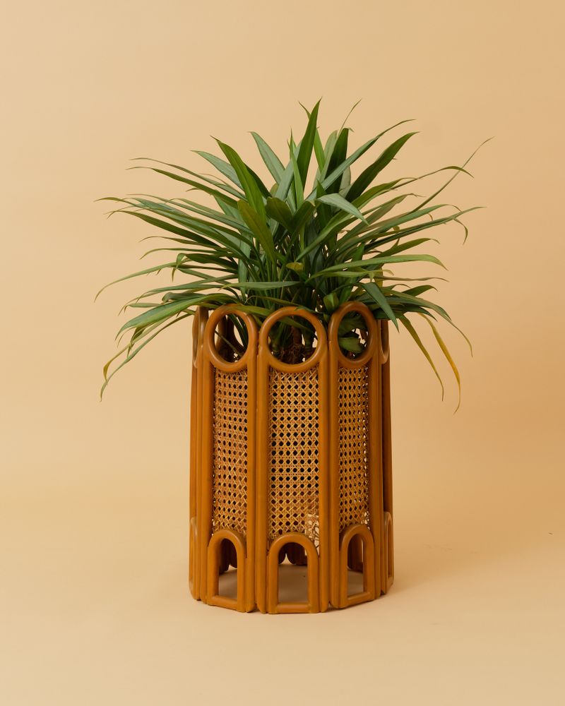 Vases - STITCH Planter - TAHANAN FURNITURE