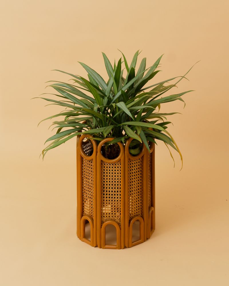 Vases - STITCH Planter - TAHANAN FURNITURE