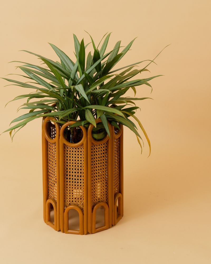 Vases - STITCH Planter - TAHANAN FURNITURE