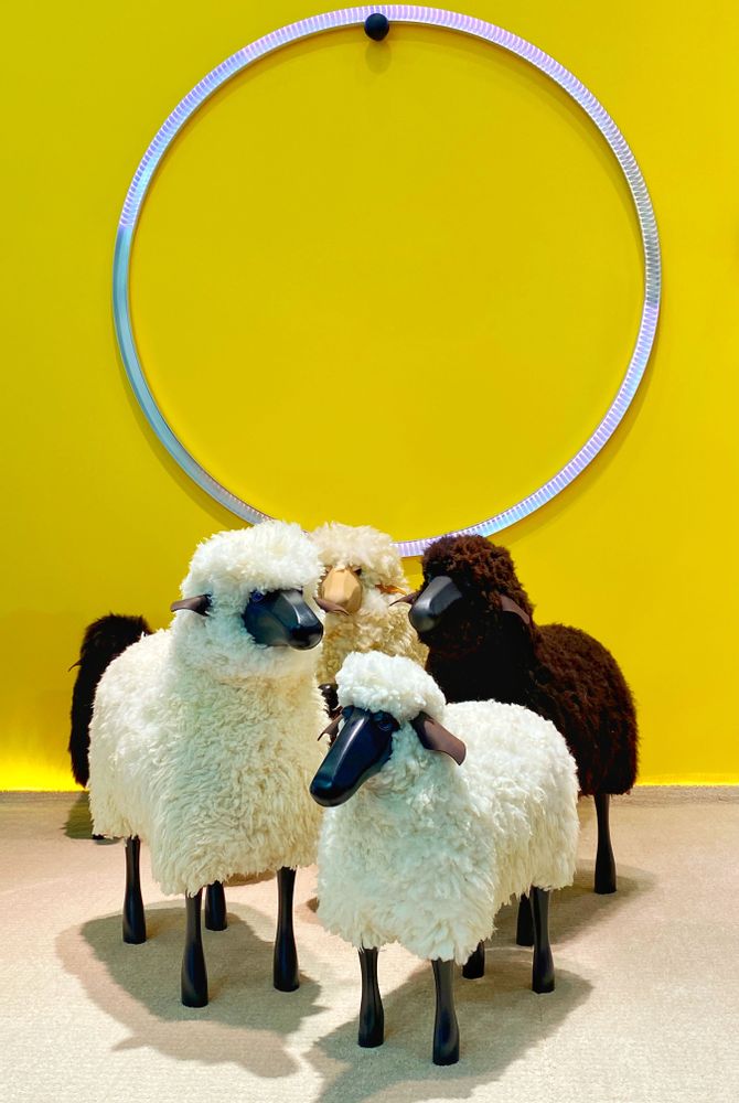 Objets de décoration - SHEEP Large - POP CORN