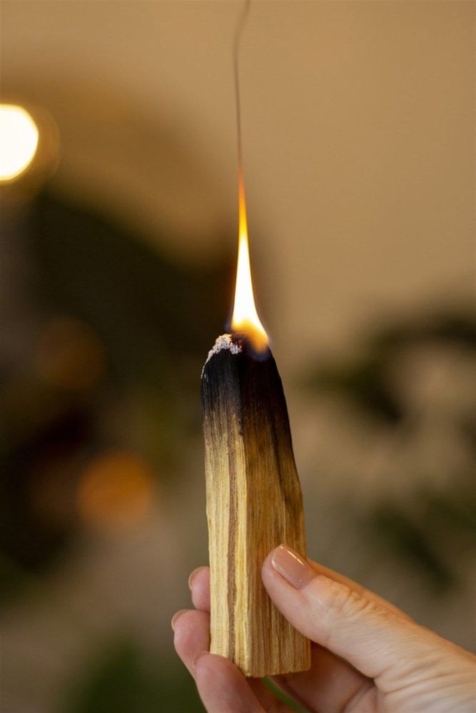 Home fragrances - PALO SANTO - CHAPPAL.CO